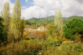Cyprus village in mountains forest.
