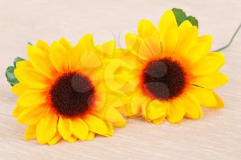 Yellow fabric daisies on beige cloth background.