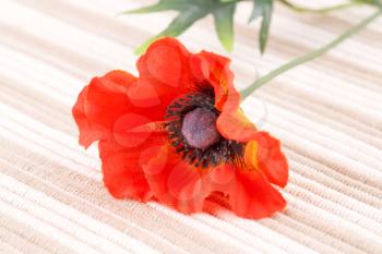 Red fabric poppy on cloth background.