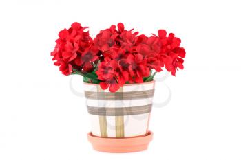 Red fabric flowers in vase isolated on white background.
