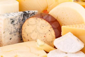 Various type of cheese closeup picture.