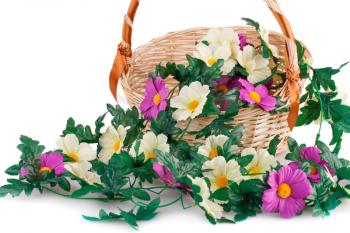 Fabric flowers in wicker basket isolated on white background.