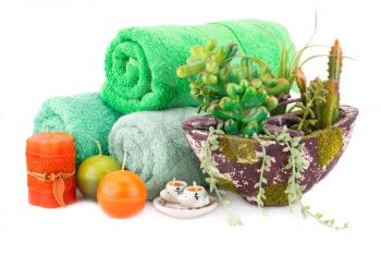 Spa set with towels, candles and plant in vase isolated on white background.