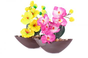 Yellow and pink artificial orchids in vase isolated on white background.