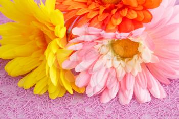 Colorful fabric daisies on pink background, closeup picture.