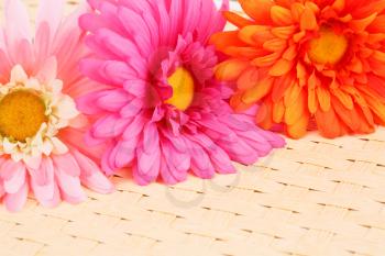 Colorful fabric daisies on bamboo background, closeup picture.