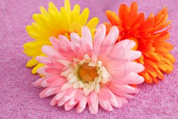 Colorful fabric daisies on pink background, closeup picture.