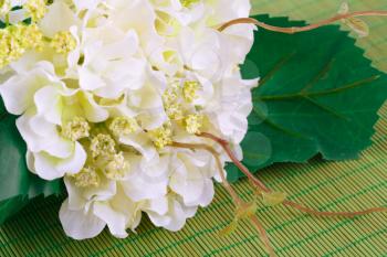 White fabric flowers on bamboo background, closeup picture.