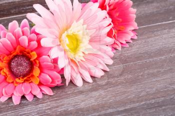 Pink fabric daisies on wooden background.