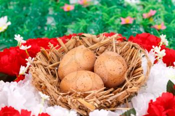 Easter eggs decoration in nest on artificial flowers setting.