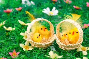 Easter setting with chickens on grass background.