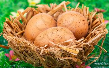 Easter eggs decoration in nest on artificial grass background.