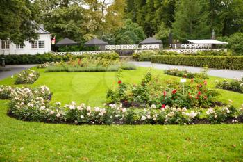 Beautiful park with colorful flowers in Oslo city.