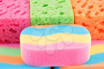 Colorful sponges closeup picture.