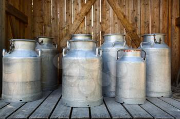 Old aluminium milk cans at dairy farm.