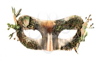 Carnival mask with dry moss isolated on a white background.