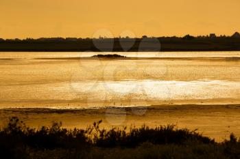 The shining surface of the Salt lake in Larnaca at the sunset, Cyprus.