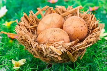 Easter eggs decoration in nest on artificial grass background.
