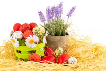 Easter decoration with colorful eggs in basket, lavender flowers and straws.