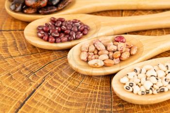 Various beans in the wooden spoons on the brown background.
