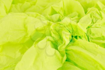 Crumpled green crepe paper texture as a background.