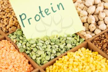 The collection of different groats, lentils, wheat, buckwheat, chickpea and peas in the wooden box with notice protein.