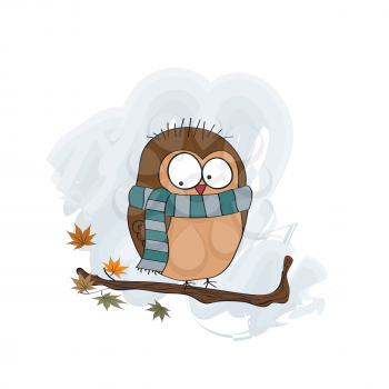 funny male bird with scarf, vector illustration
