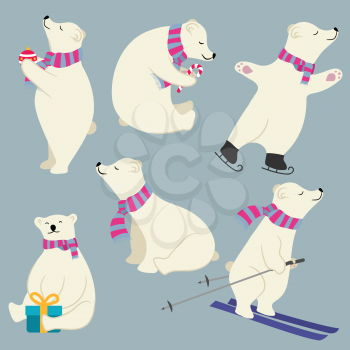 Cute flat design polare bears collection isolated. Vector