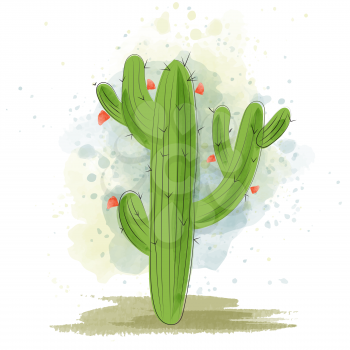 Watercolor cactus blooming. Succulent plant.