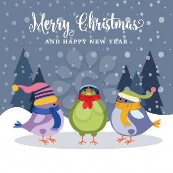 Beautiful Christmas card with birds . Christmas poster. Vector