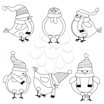 Christmas birds collection for coloring book, isolatd items