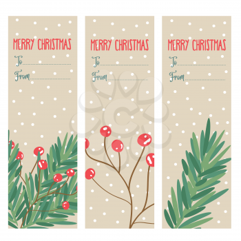 Christmas labels collection with tree branches and holly berries.  Vector