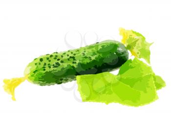 Cucumbers on white background with green leaf . Vector