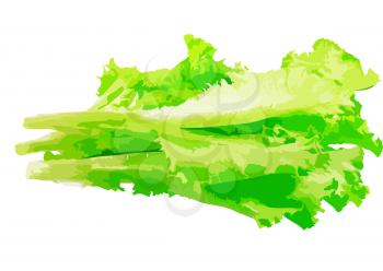Leaf of lettuce on white background. Vector