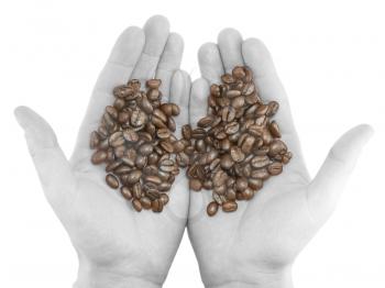 Coffee beans on black/white hands. Isolated on white.