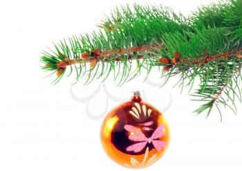 Christmas decoration-glass  ball on fir branches.Isolated