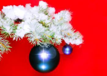 Christmas and New Year decoration- balls with real snow-covered fir branches .On red background