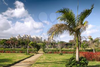 Park in Montaza Palace in Alexandria, Egypt.