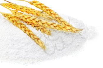 Spikelets of wheat on flour spillage.Isolated