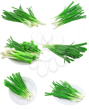 Collage (set) of young onion on white background. Isolated