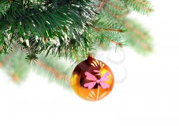 Christmas decoration-glass  ball on fir branches.Isolated