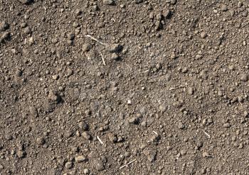 Soil texture background. Close -Up