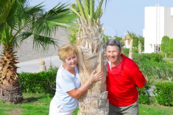 Elderly couple embrace each other near the palm-tree on tropical resort.