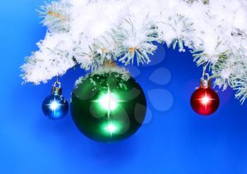 Christmas and New Year decoration- balls with real snow-covered fir branches .On blue background