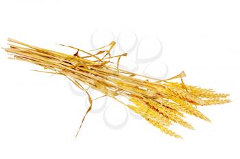 Wheat ears ilie.  Isolated on white background.