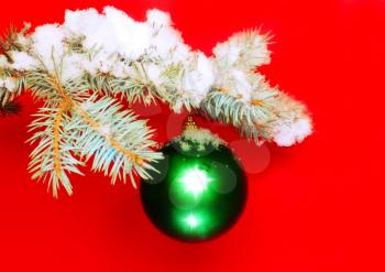 Christmas and New Year decoration- balls with real snow-covered fir branches .On red background