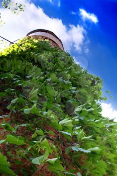 Water Tower with plants.