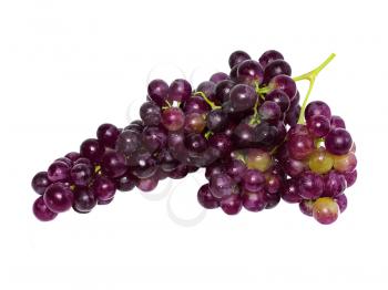 Branch of black grapes . Isolated over white