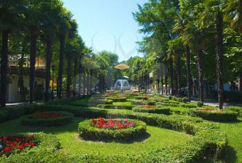 Park Riviera in Sochi city,Capital of Olympic Game 2014 , Russia.
