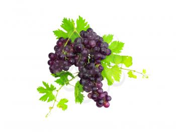 Branch of black grapes with green leaf. Isolated over white